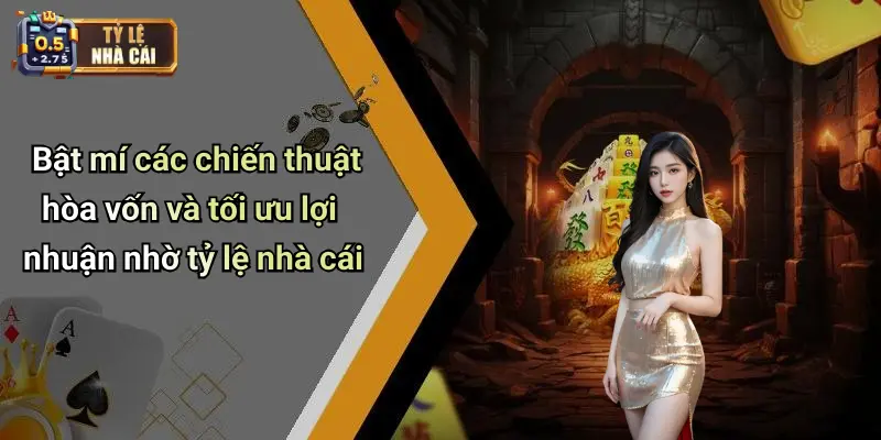 Bật mí các chiến thuật hòa vốn và tối ưu lợi nhuận nhờ tỷ lệ nhà cái