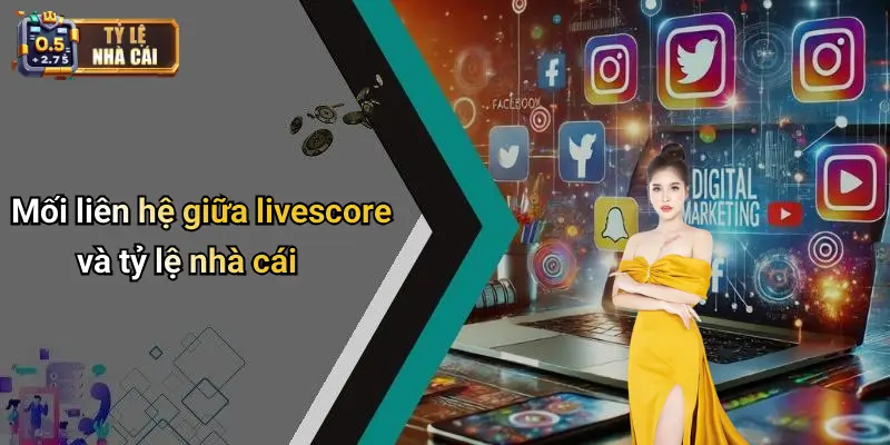 Mối liên hệ giữa livescore và tỷ lệ nhà cái