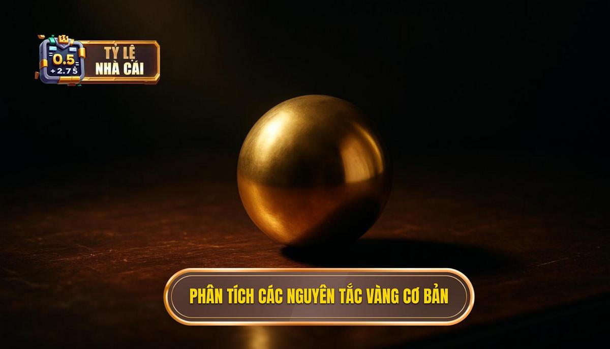 Phân tích chuyên sâu các nguyên tắc vàng