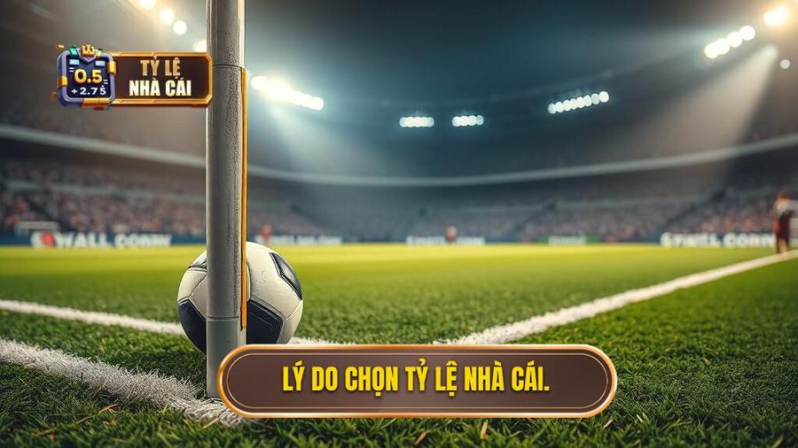 2. Lý do chọn Tỷ Lệ Nhà Cái.