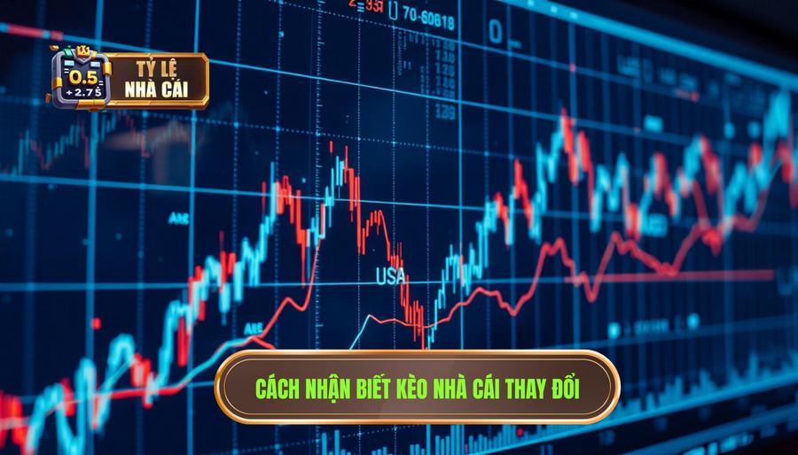 Các tín hiệu nhận biết kèo nhà cái thay đổi quan trọng nhất